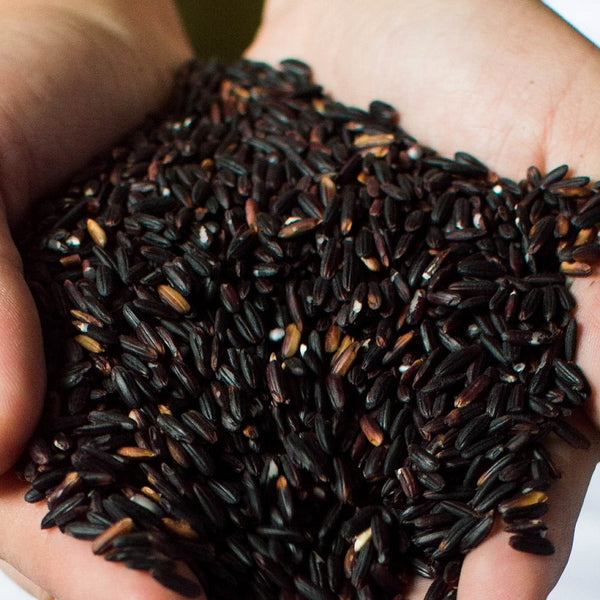 Chak-Hao (Black Rice): Know its Properties*